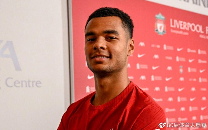 上发表了感 上发表了感